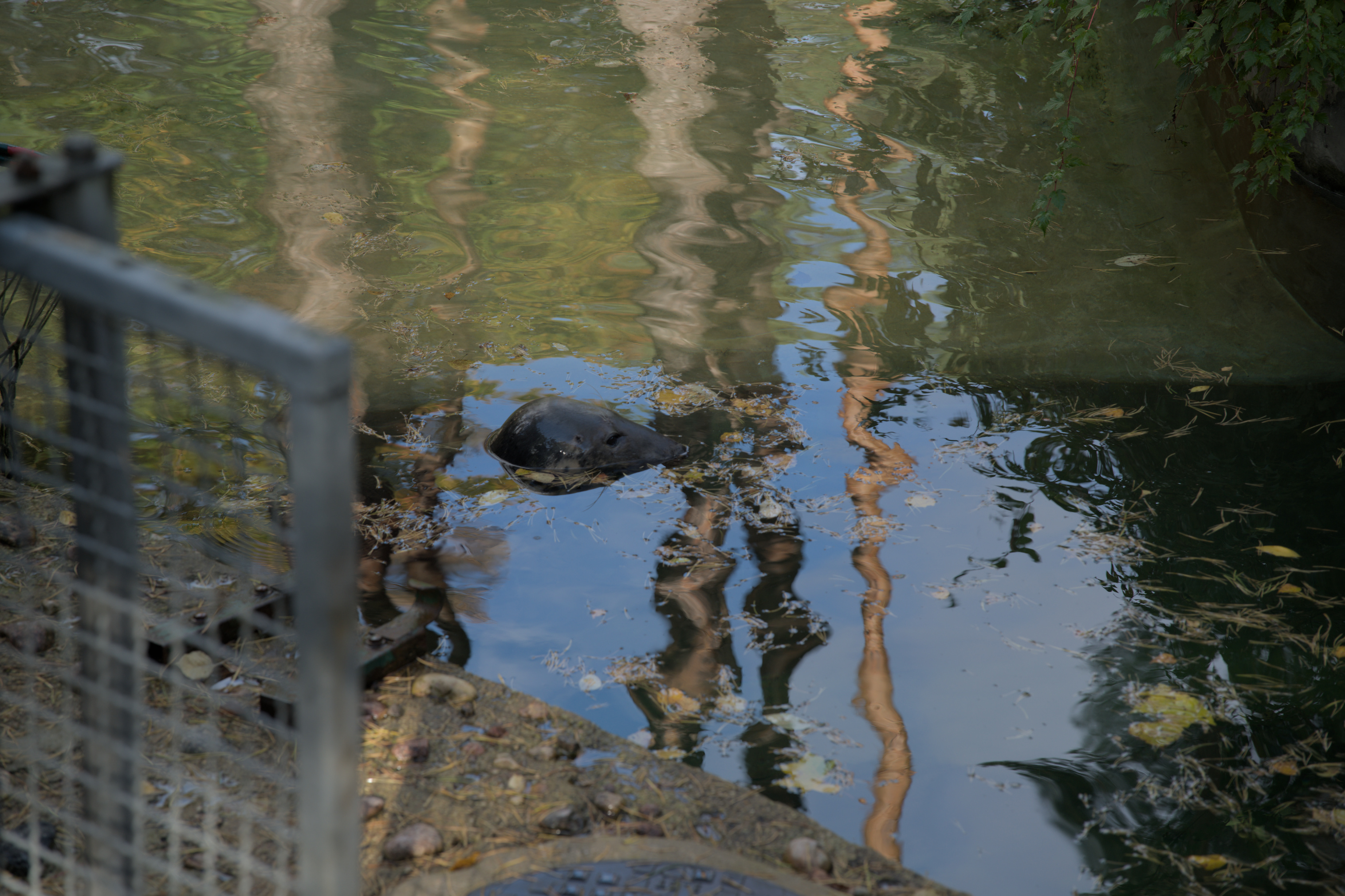 2025/10/12 - zoo/DSC_0001.jpg